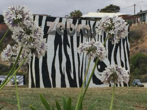 Zebras Guesthouse